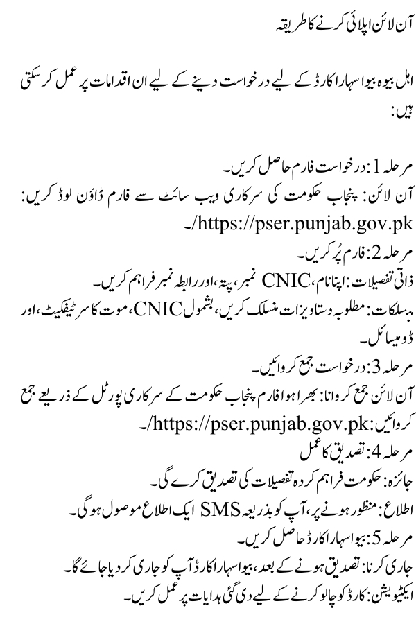 CM Punjab Bewa Sahara Card Program