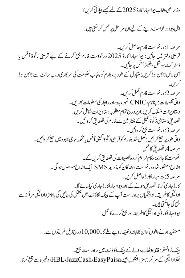 CM Punjab Bewa Sahara Card 2025