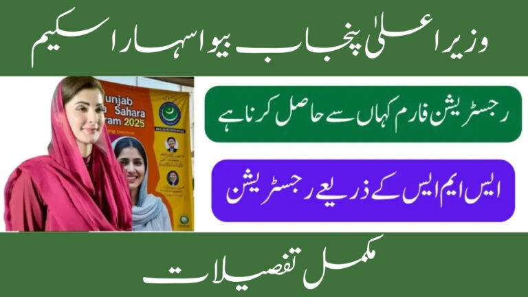 CM Punjab Bewa Sahara Card Program