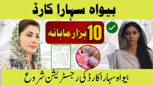 CM Punjab Bewa Sahara Card 2025