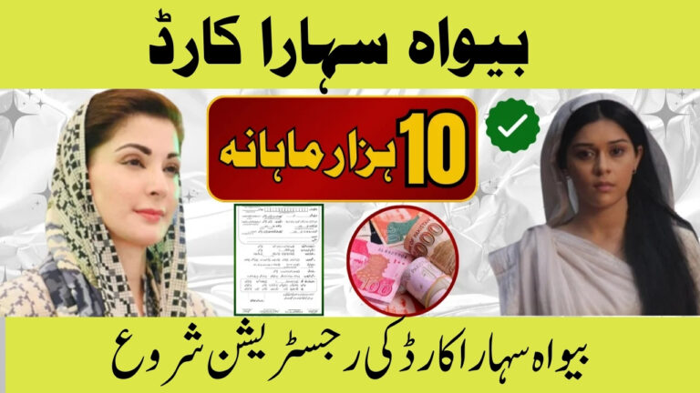 CM Punjab Bewa Sahara Card 2025
