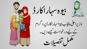 CM Punjab Bewa Sahara Card