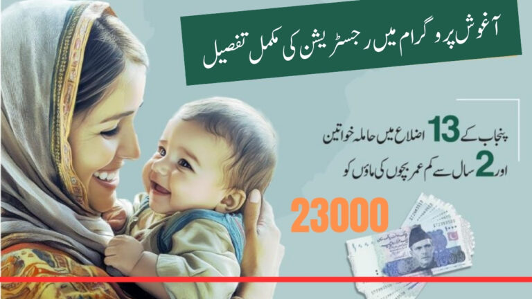How to Apply for the Punjab Aghosh Program
