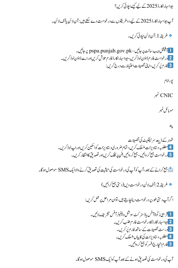 CM Punjab Bewa Sahara Card 2025