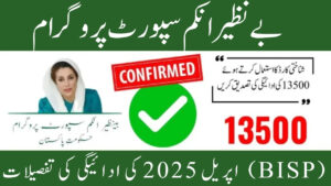 Benazir Income Support Program