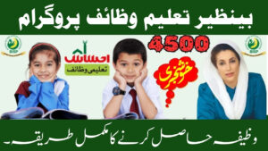 Benazir Taleemi Wazaif Program Payments Withdrawal process
