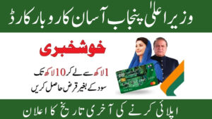 CM Punjab Asaan Karobar Card 