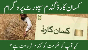 Kisan Card Wheat Support Program