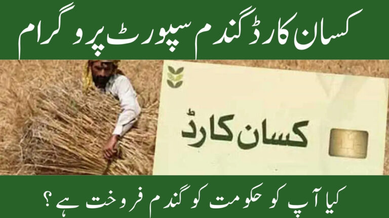 Kisan Card Wheat Support Program