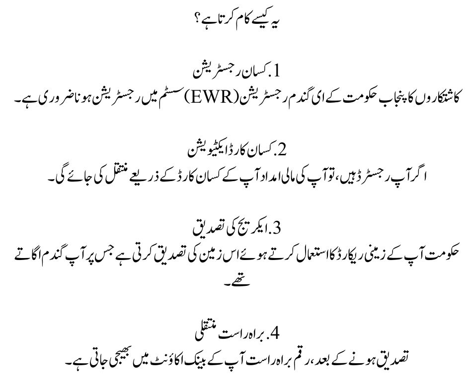 Kisan Card Wheat Support Program
